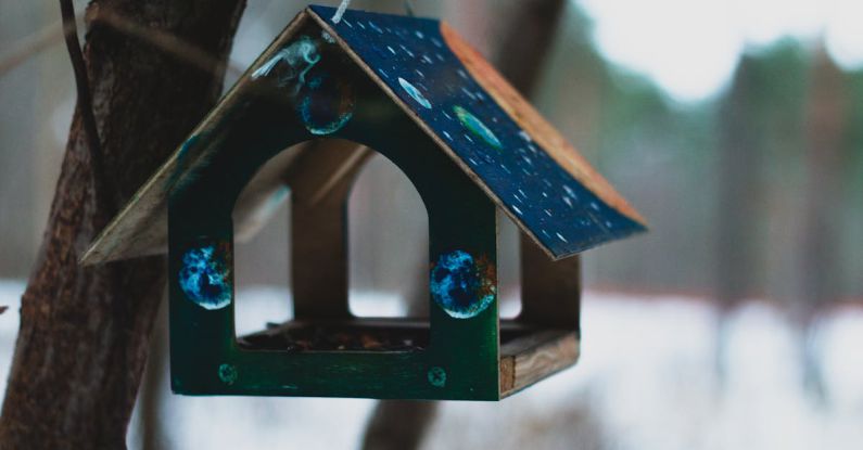 Bird Feeder - Selective Focus Photography of Blue Wooden Birdhouse