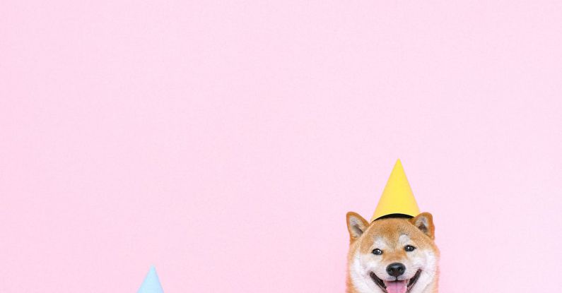 Party Hats - Shiba Inu Dogs Wearing Party Hats